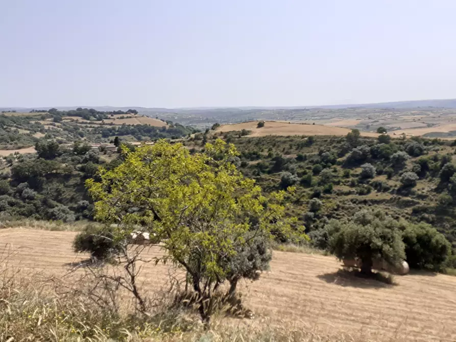 Immagine 43 di Terreno agricolo in vendita  in c.da Poi a Palazzolo Acreide