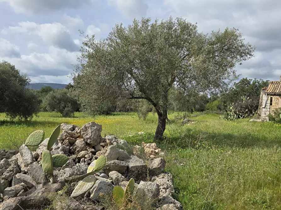 Immagine 5 di Villa in vendita  in Cavasecca a Canicattini Bagni