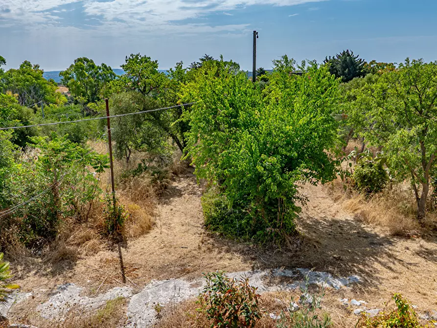 Immagine 28 di Villa in vendita  in contrada San Marco a Noto