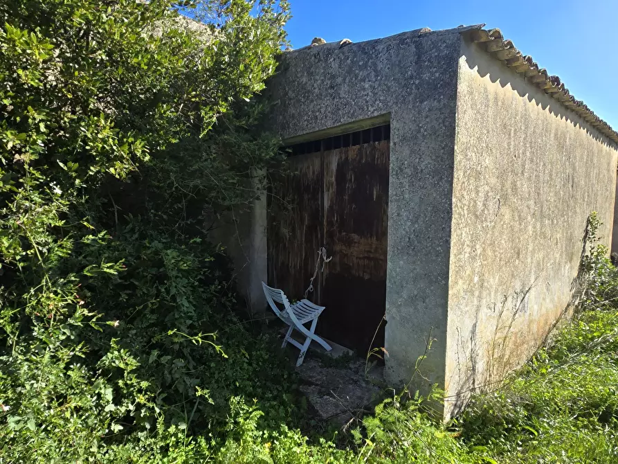 Immagine 12 di Terreno agricolo in vendita  in C.DA CUGNI SNC a Siracusa