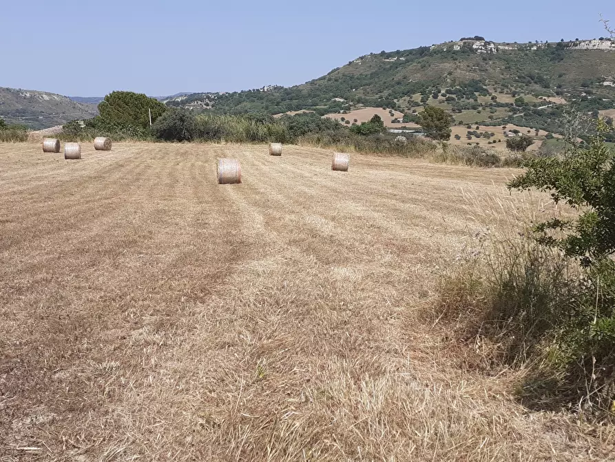 Immagine 53 di Terreno agricolo in vendita  in c.da Poi a Palazzolo Acreide