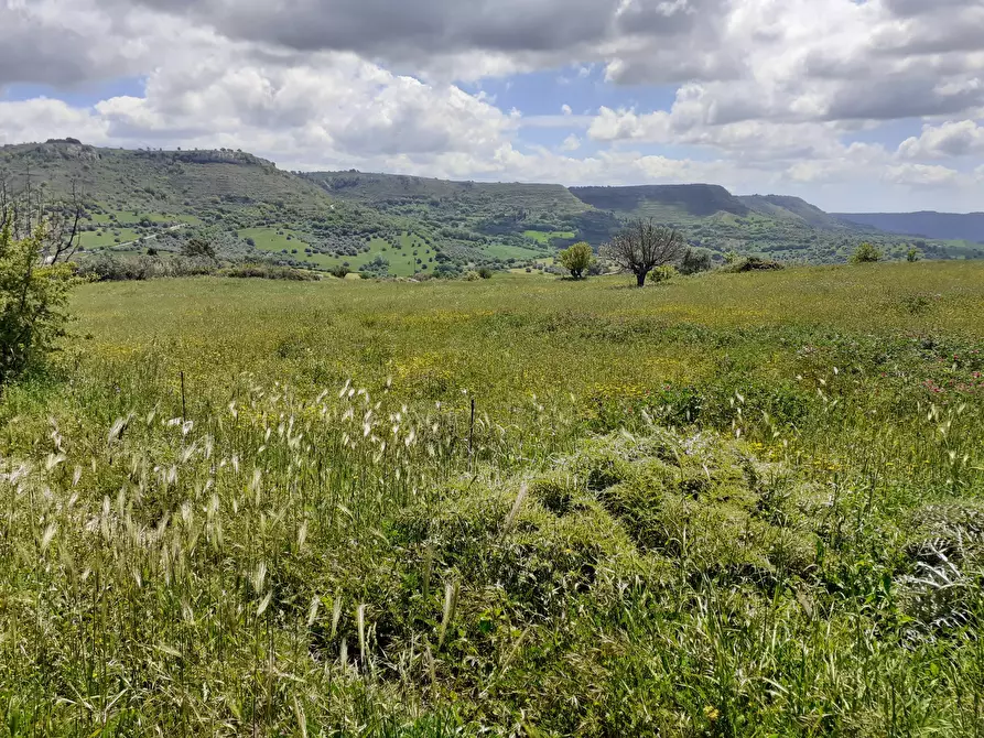 Immagine 13 di Terreno agricolo in vendita  in c.da Poi a Palazzolo Acreide