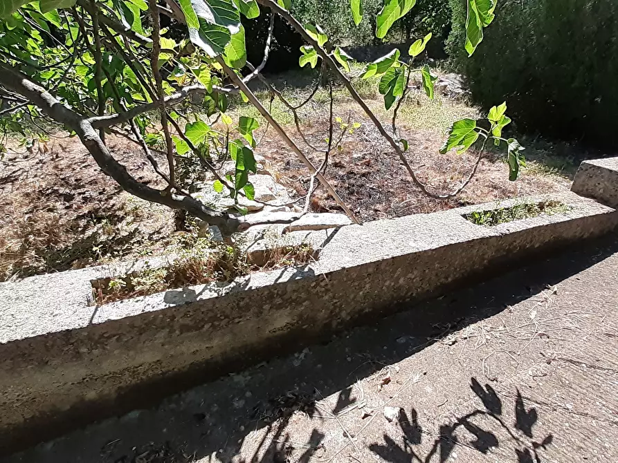 Immagine 39 di Rustico / casale in vendita  in Strada Provinciale 24 21 a Noto