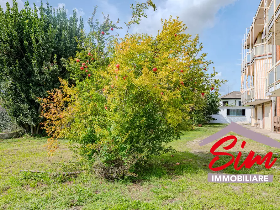 Immagine 38 di Quadrilocale in vendita  in Via cascine vignole snc a Casaleggio Novara