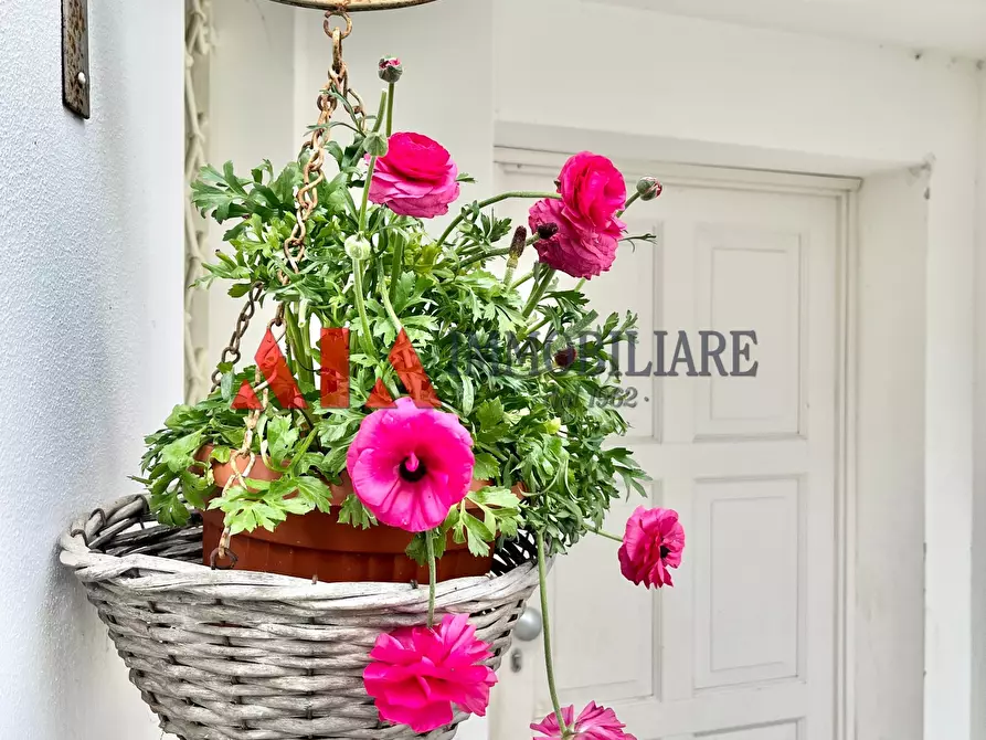 Immagine 22 di Casa bifamiliare in vendita  in Via Venezia a Pontedera