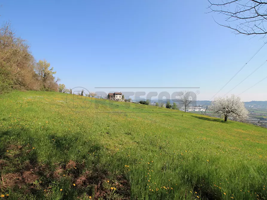 Immagine 4 di Rustico / casale in vendita  in Via San Nicolò 7 a Montorso Vicentino