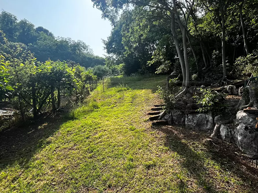 Immagine 3 di Terreno agricolo in vendita  in Via Bazziola a Monteviale