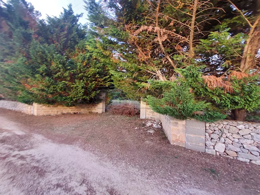 Immagine 7 di Terreno agricolo in vendita  in Contrada Maccallè a Muro Leccese