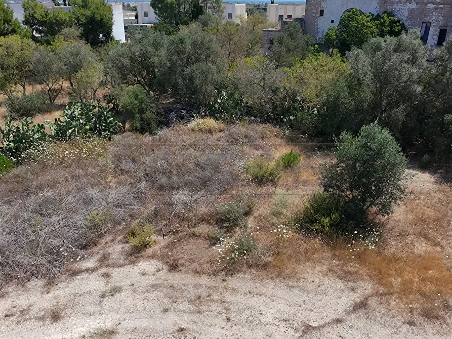 Immagine 14 di Laboratorio in vendita  in Via Neviano 37 a Seclì