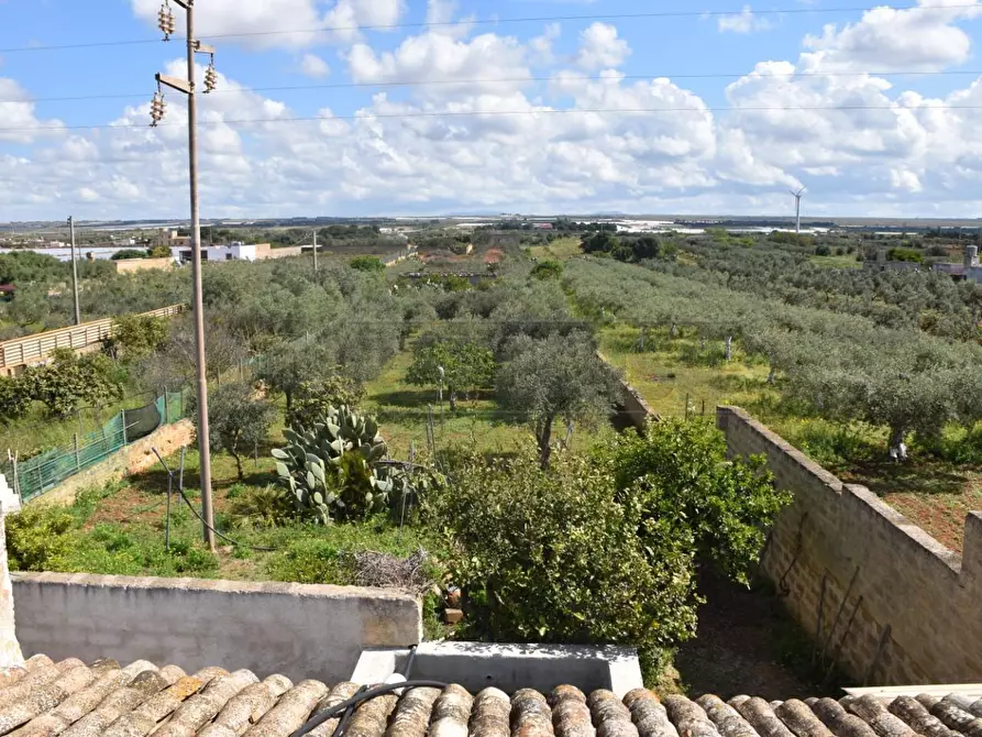 Immagine 16 di Rustico / casale in vendita  in contrada Bianca a Mazara Del Vallo