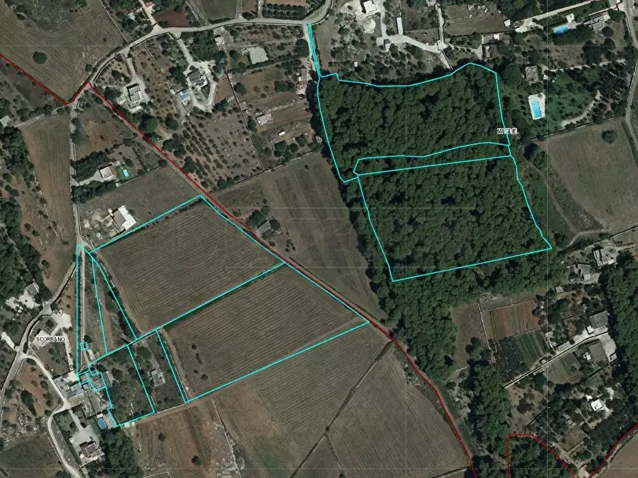 Immagine 8 di Villa in vendita  in Contrada Luci a Maglie