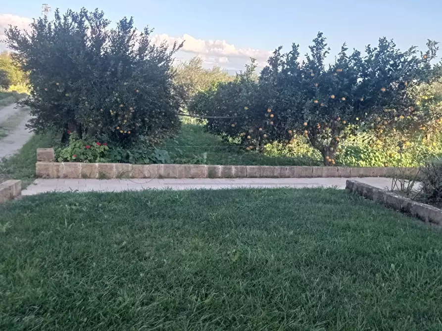 Immagine 10 di Villa in vendita  a Castelvetrano