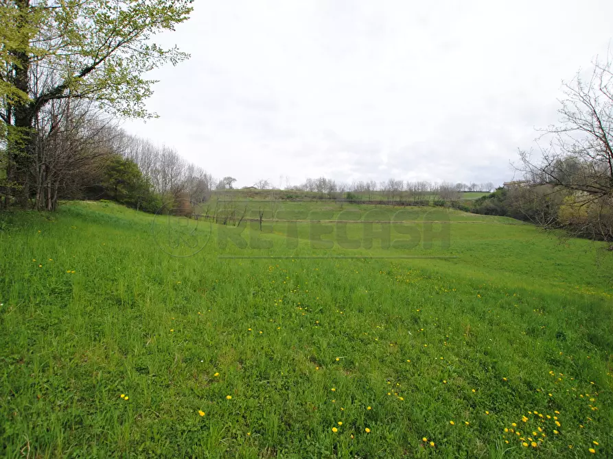 Immagine 2 di Terreno edificabile in vendita  in via rigon snc a Brogliano