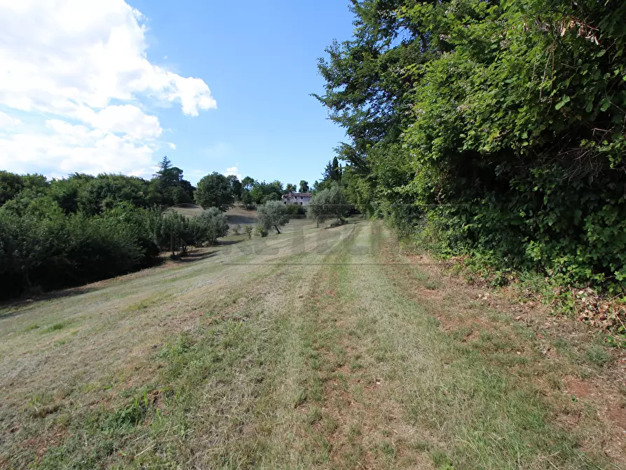 Immagine 8 di Rustico / casale in vendita  in Via Arcisi 8 a Val Liona