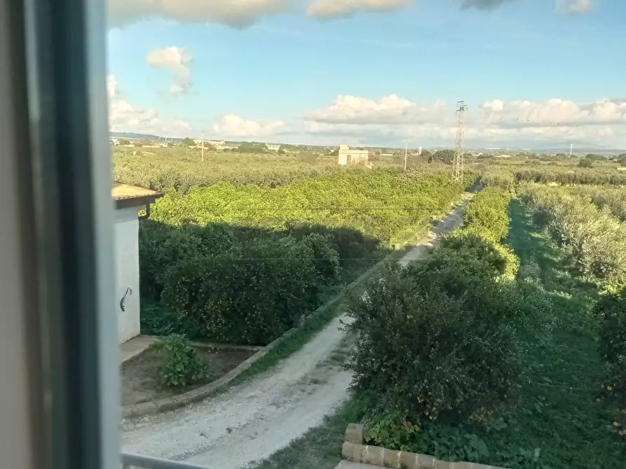 Immagine 38 di Villa in vendita  a Castelvetrano
