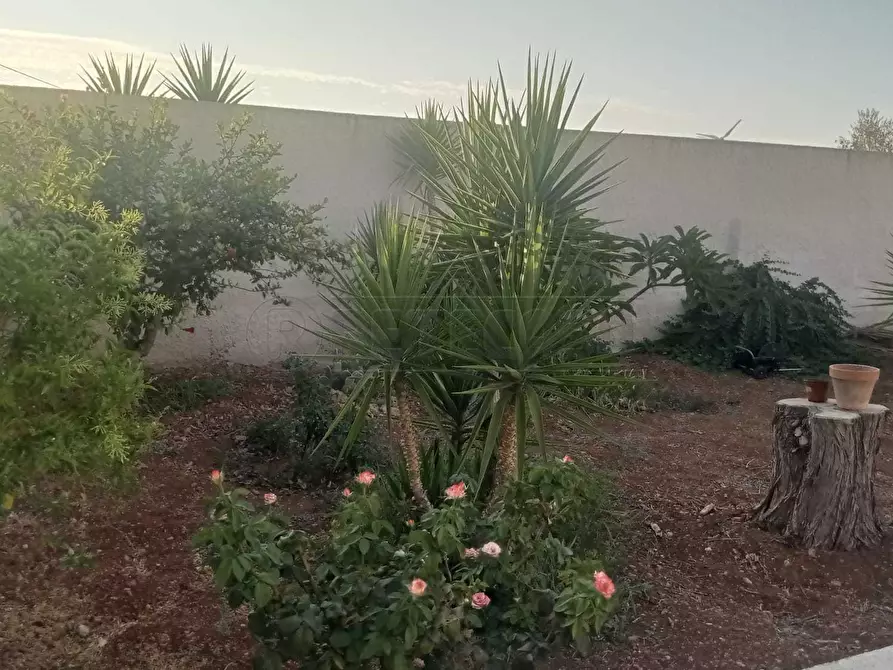 Immagine 3 di Villa in vendita  a Mazara Del Vallo