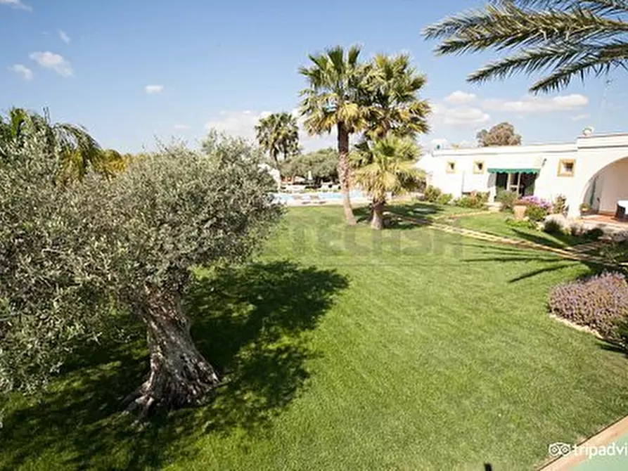 Immagine 85 di Villa in vendita  a Castelvetrano