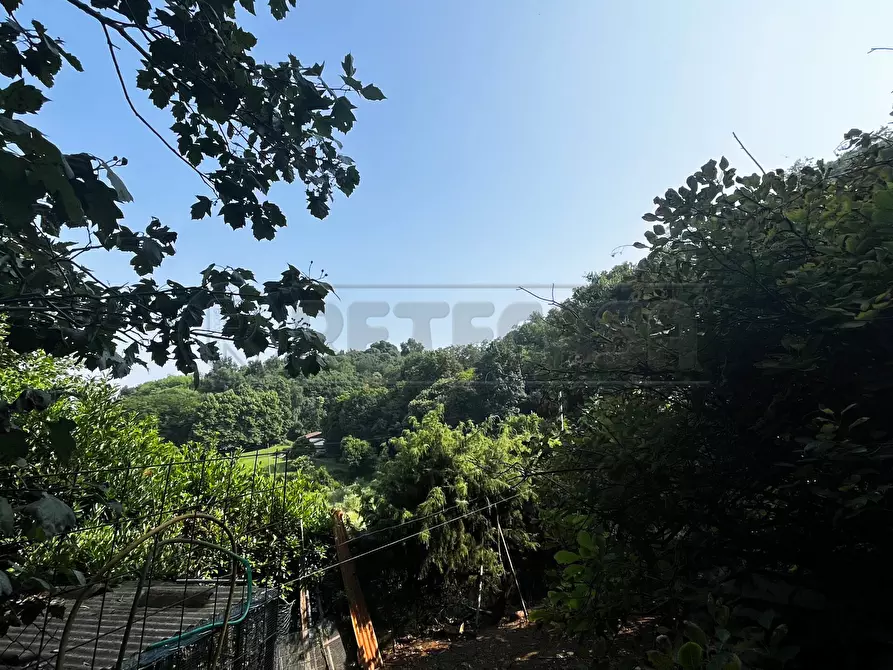 Immagine 18 di Terreno agricolo in vendita  in Via Bazziola a Monteviale