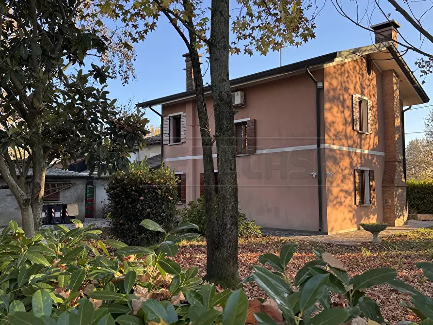 Immagine 5 di Casa indipendente in vendita  a Mirano