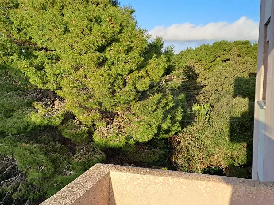 Immagine 9 di Appartamento in vendita  in Via Favorita 78/a a Marsala