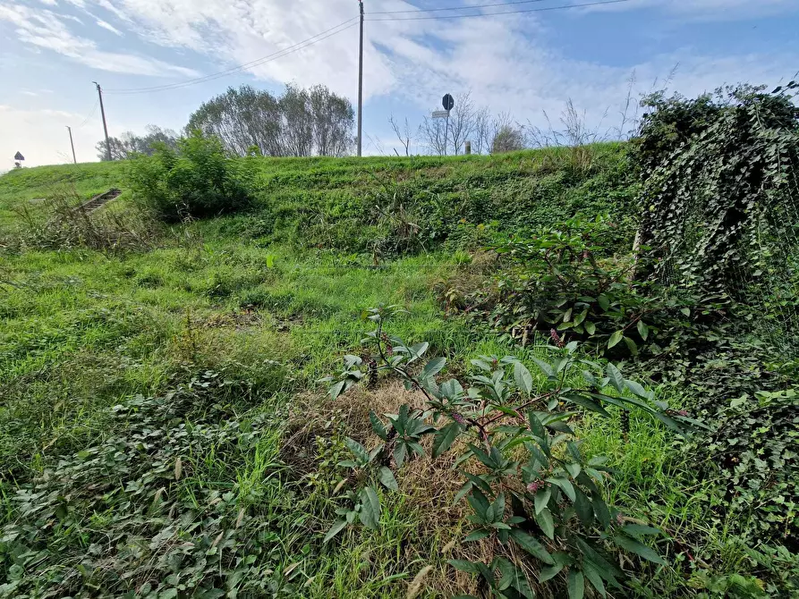 Immagine 6 di Rustico / casale in vendita  in Via Nervi a San Daniele Po