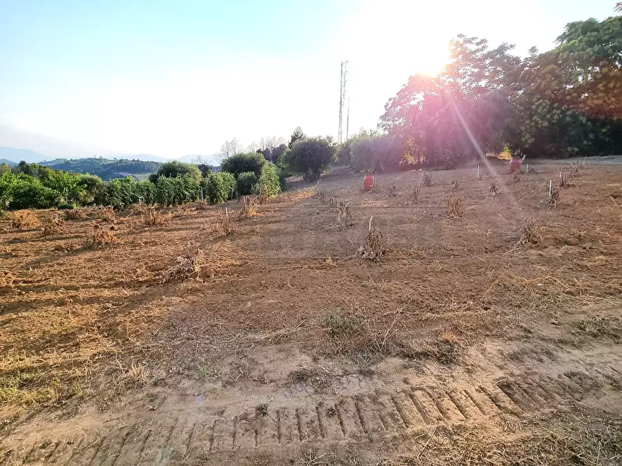 Immagine 4 di Terreno industriale in vendita  a Pescara