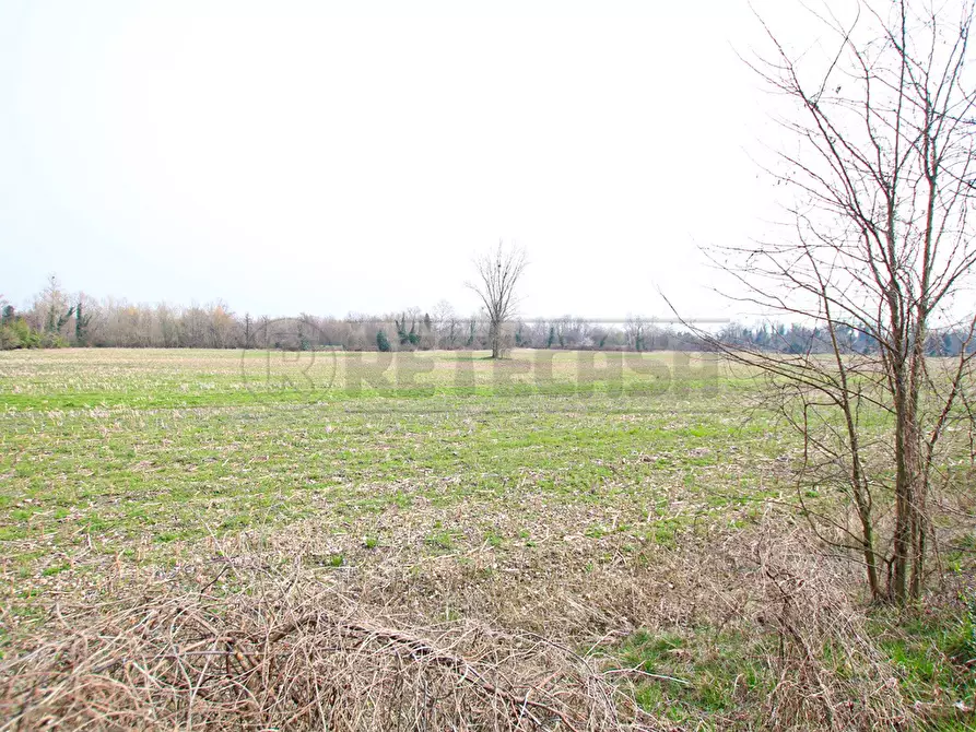 Immagine 9 di Terreno agricolo in vendita  a Villaverla