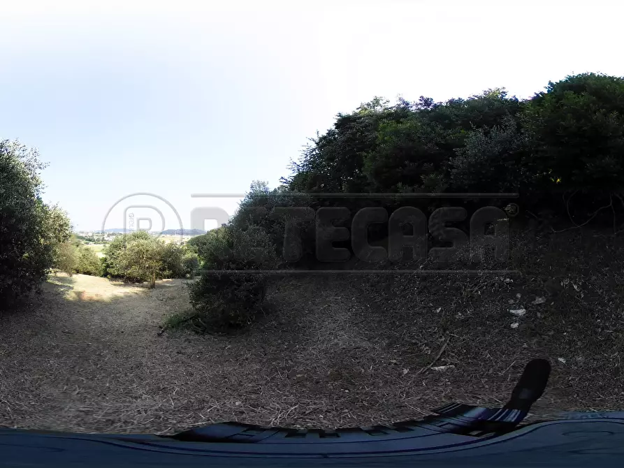 Immagine 56 di Terreno agricolo in vendita  in Via Bazziola a Monteviale