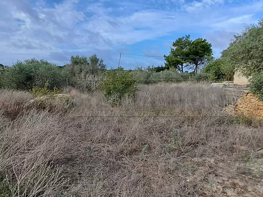 Immagine 6 di Terreno agricolo in vendita  in contrada casazze a Marsala