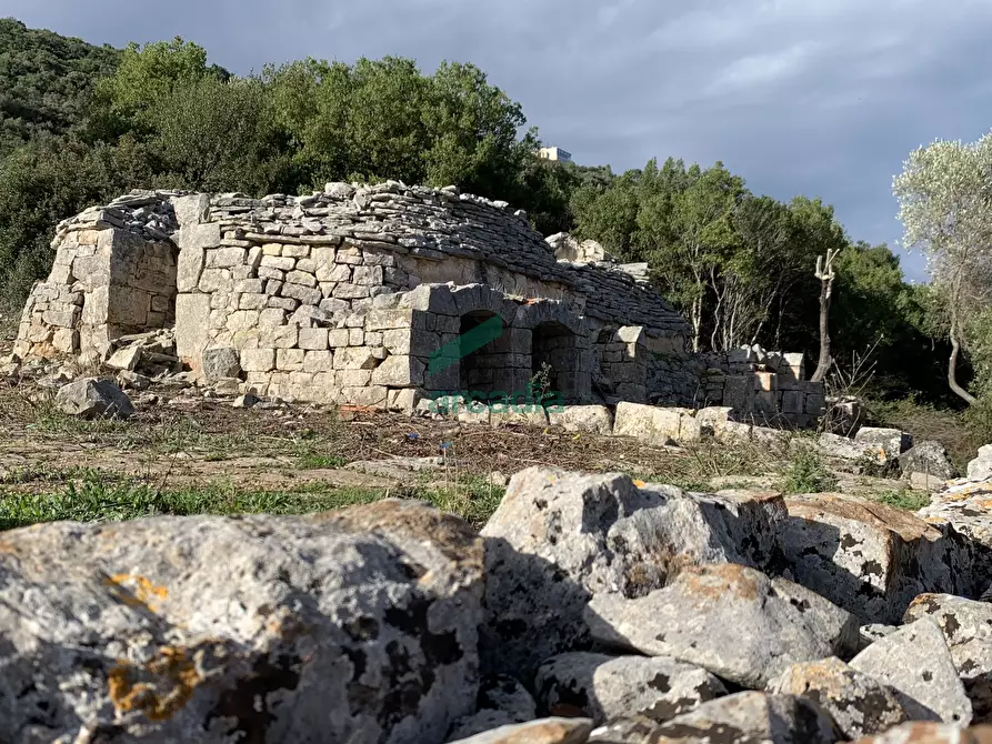 Immagine 1 di Rustico / casale in vendita  in Contrada Torchiano a Monopoli