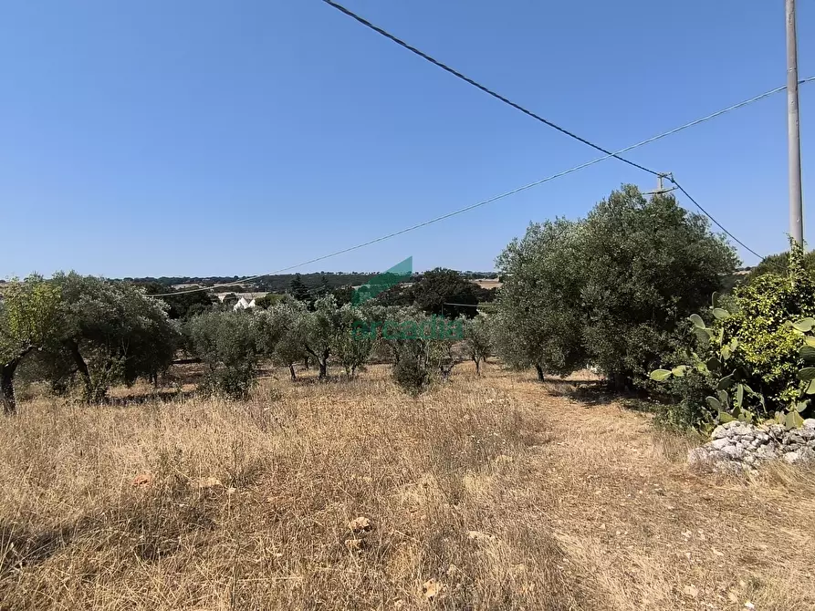 Immagine 24 di Villa in vendita  in Ctr. Ciminiera 62 a Monopoli