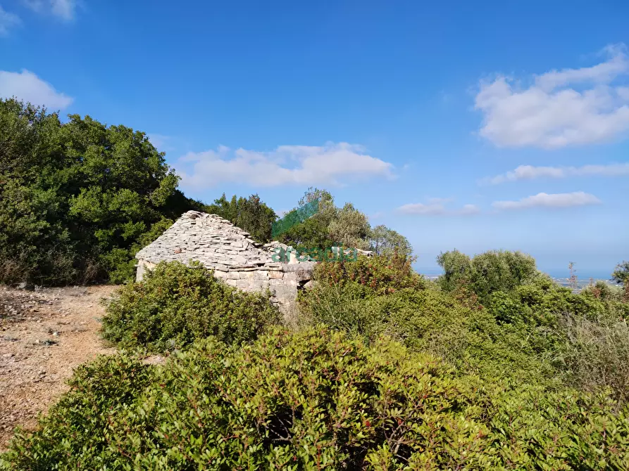 Immagine 8 di Rustico / casale in vendita  in Contrada Torchiano a Monopoli