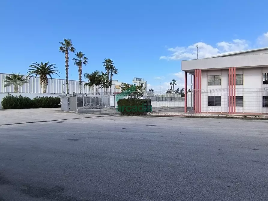 Immagine 31 di Attività artigianale in affitto  in S.S. 16 km 810,800 SN a Triggiano