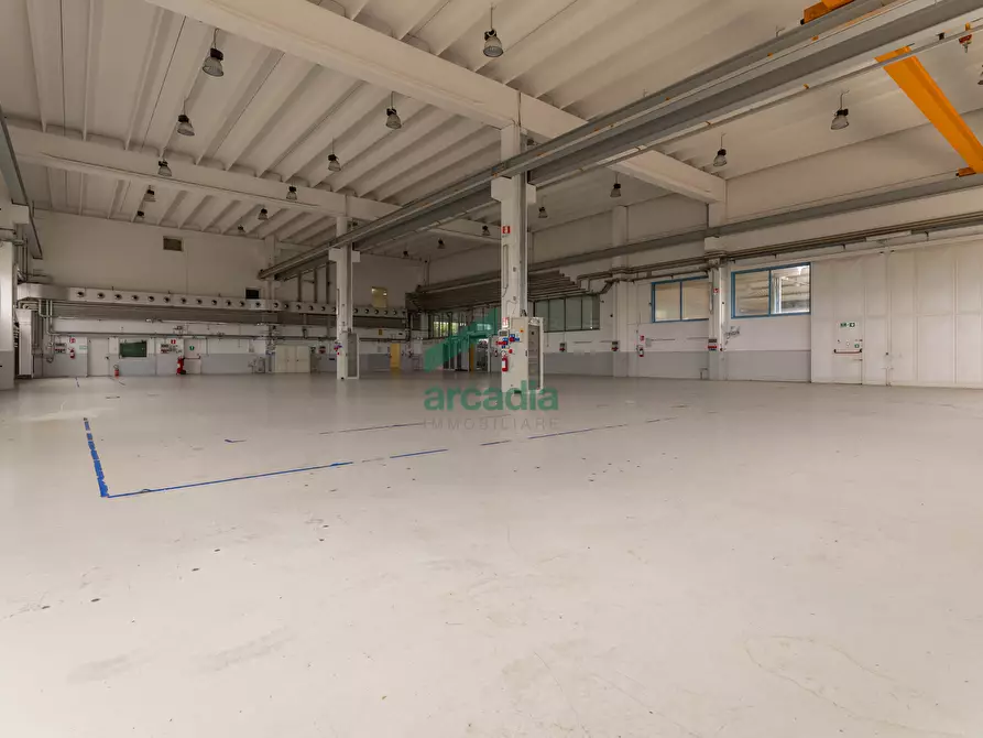Immagine 66 di Attività artigianale in vendita  in Via dei Gigli 21 a Modugno