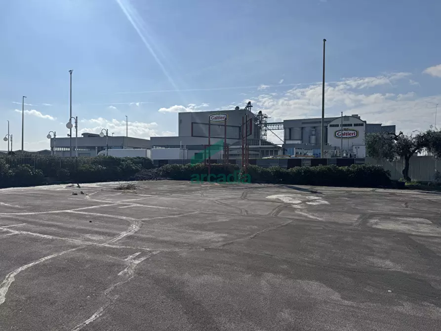 Immagine 3 di Capannone industriale in vendita  in S.P. 231 km 80,660 a Modugno
