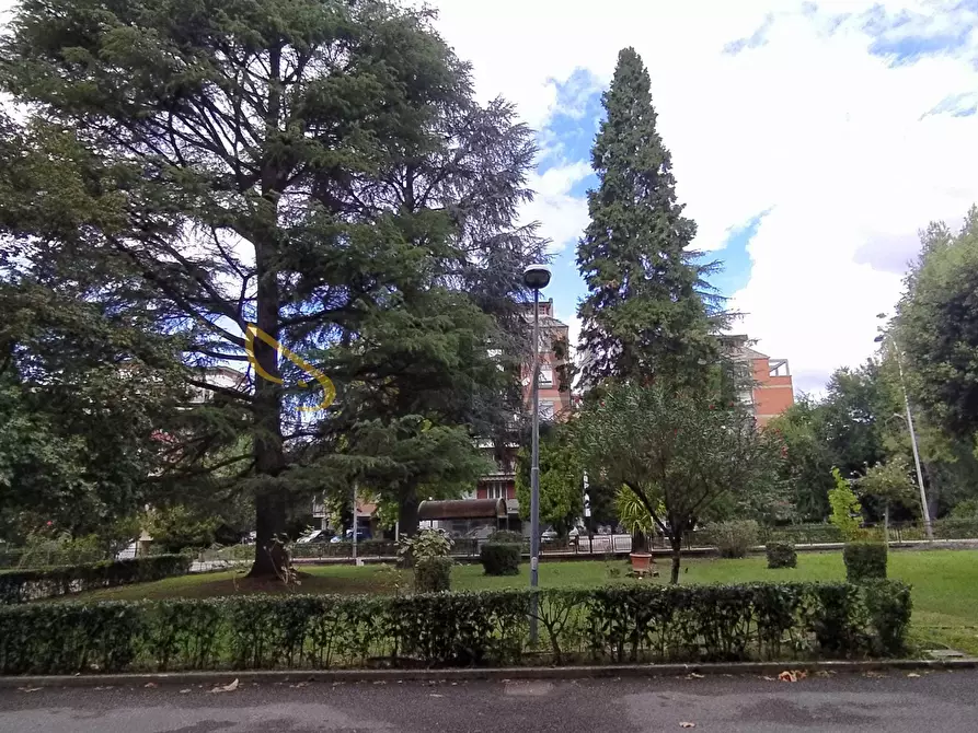 Immagine 42 di Trilocale in affitto  in Via degli Oleandri a Terni