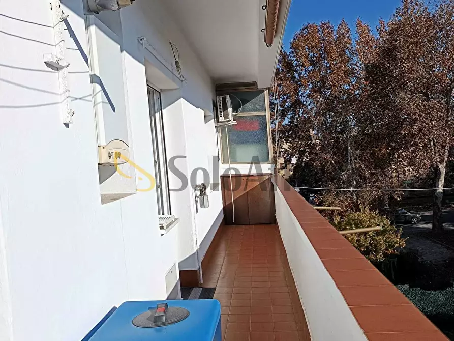 Immagine 15 di Bilocale in affitto  in Via Vittorio Emanuele 141 a Latina