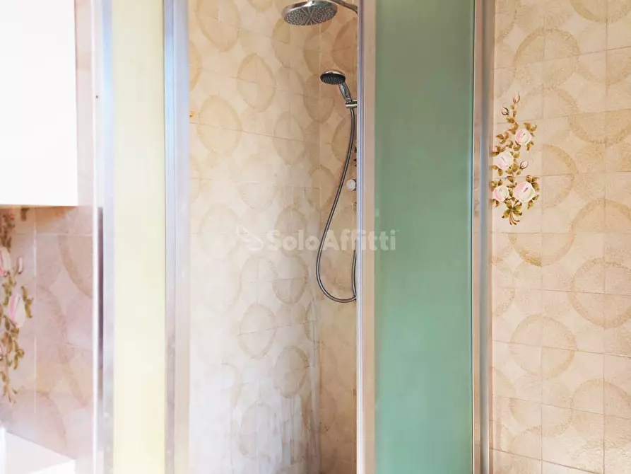 Immagine 28 di Pentalocale in affitto  in Via Giorgio Giorgis a Fiumicino