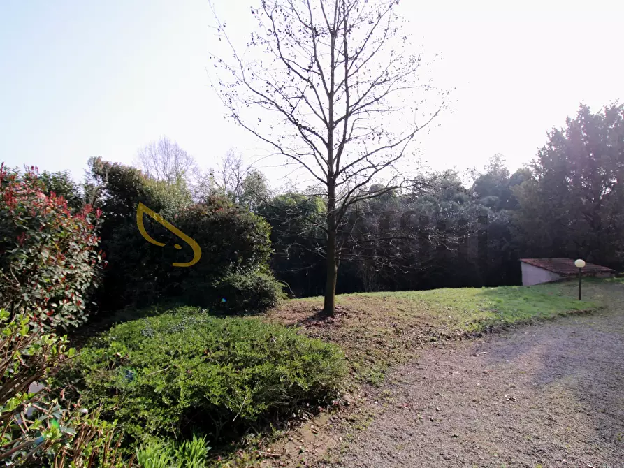 Immagine 14 di Trilocale in affitto  in Viale Trieste 9 a Barlassina