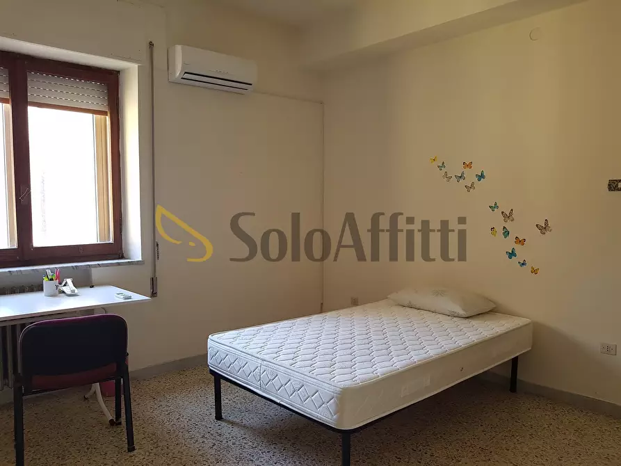Immagine 7 di Quadrilocale in affitto  a Catanzaro