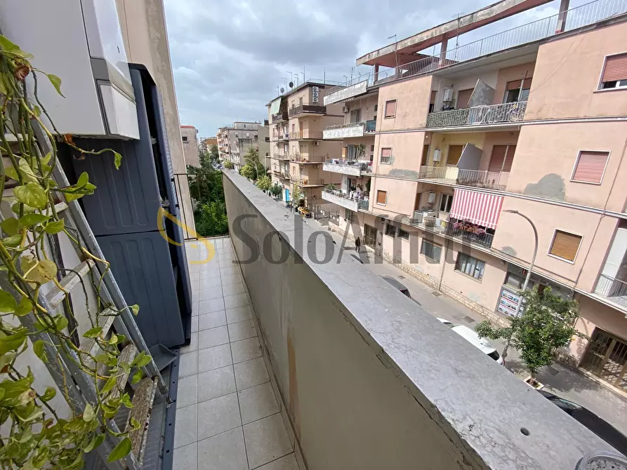 Immagine 10 di Bilocale in affitto  in Via G. A. Acquaviva 47a a Caserta