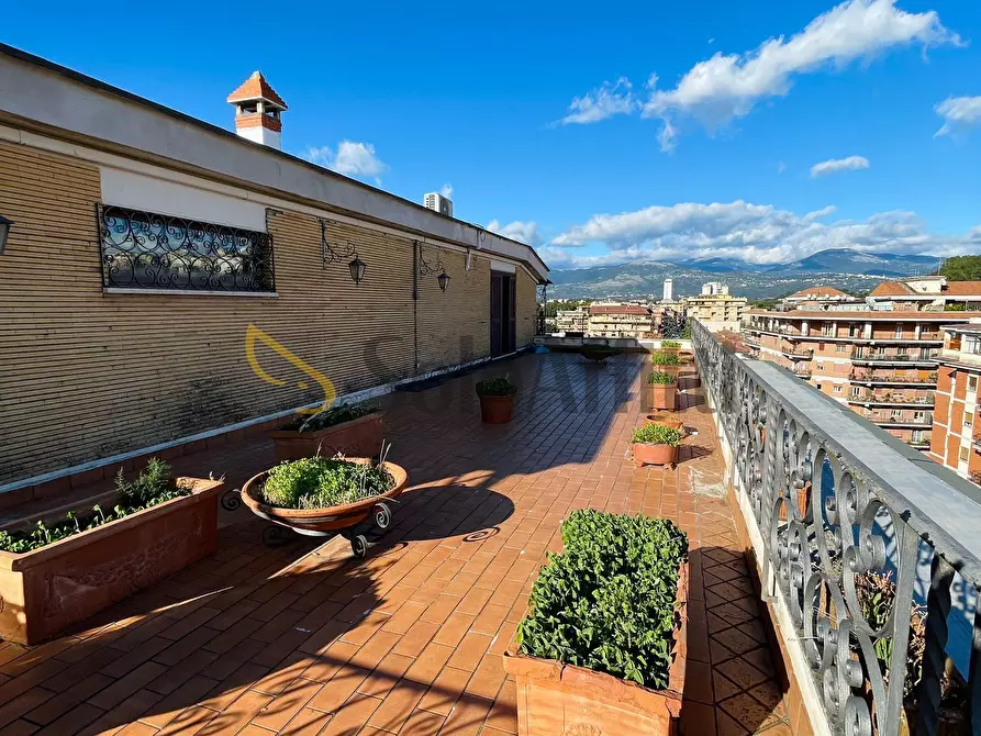 Immagine 34 di Attico in affitto  a Frosinone