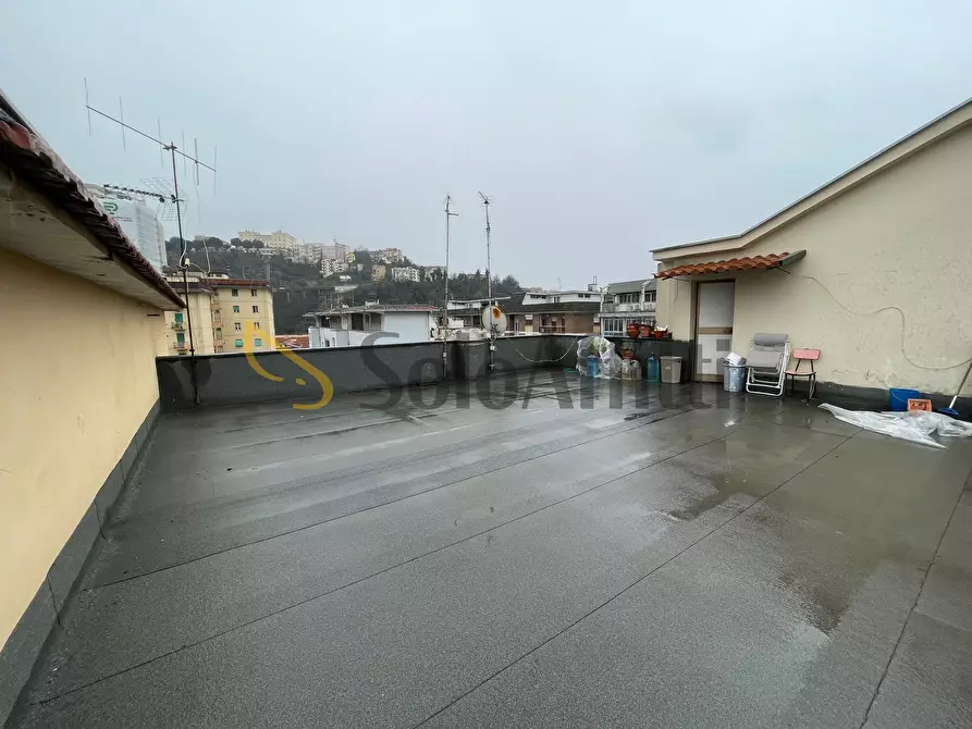 Immagine 26 di Trilocale in affitto  a Frosinone