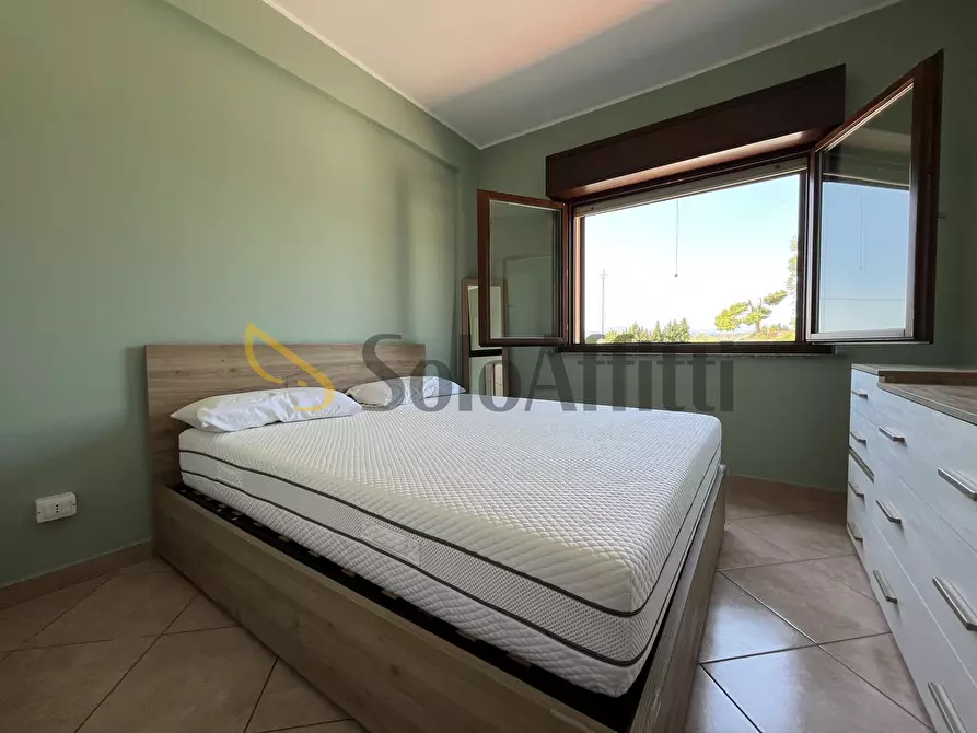 Immagine 4 di Trilocale in affitto  a Catanzaro