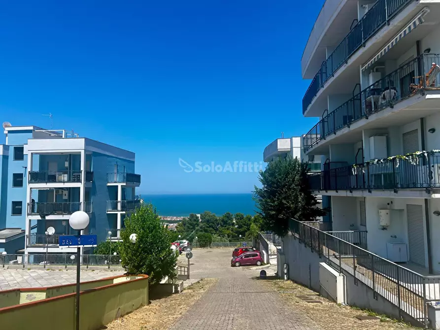 Immagine 14 di Monolocale in affitto  in Via Belvedere 6 a Tortoreto