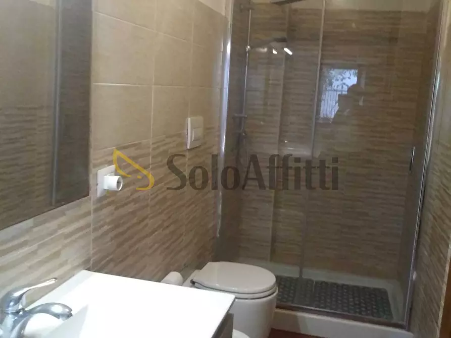 Immagine 3 di Monolocale in affitto  a Frosinone