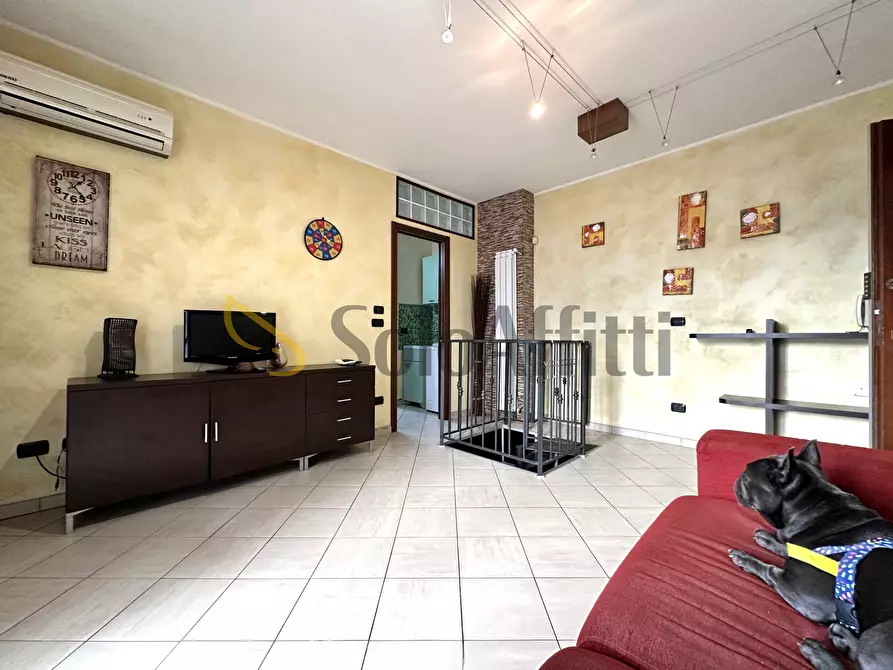 Immagine 5 di Trilocale in affitto  a Catanzaro