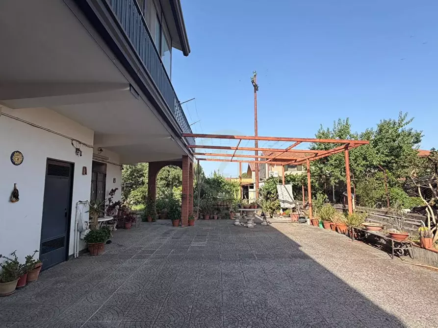 Immagine 6 di Appartamento in vendita  a Mascalucia