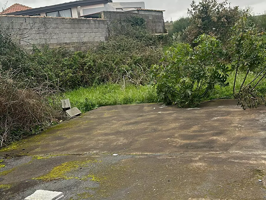 Immagine 5 di Terreno agricolo in vendita  a San Pietro Clarenza