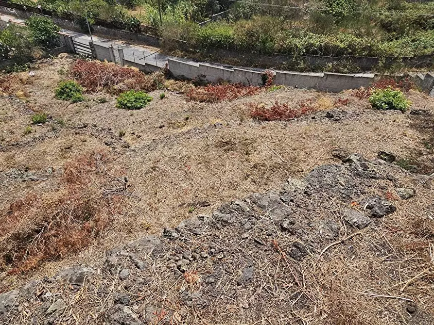 Immagine 9 di Terreno industriale in vendita  a Mascalucia